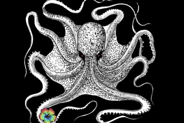 Kraken url