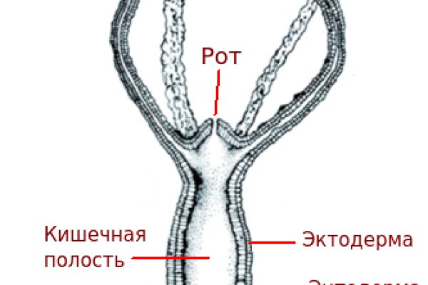 Кракен сбой