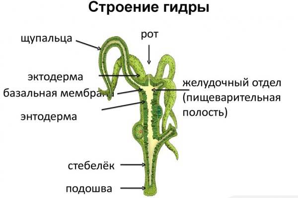 Kraken 9 at клиар ссылка