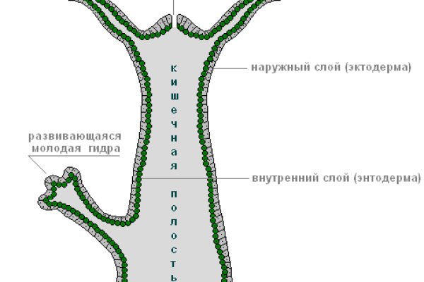 Сайт кракен рабочая ссылка