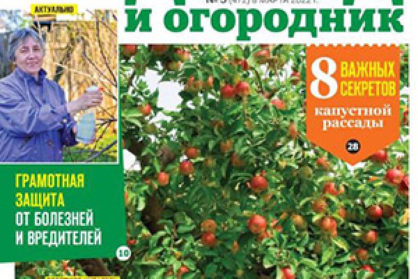 Кракен браузер