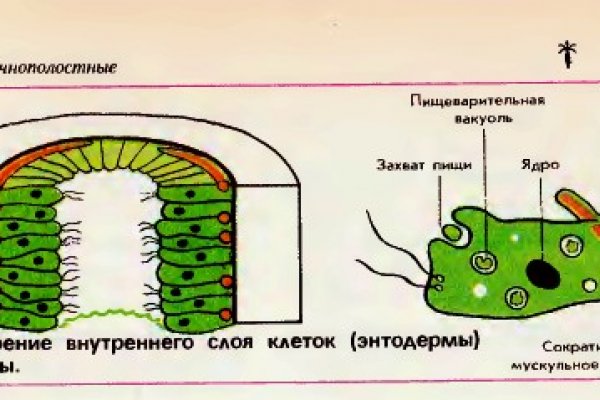 Магазин кракен в москве наркотики