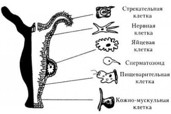 Кракен что продают