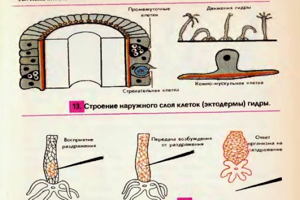 Кракен ссылка на тор официальная